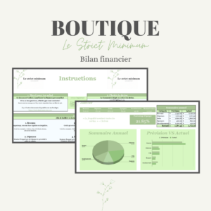 Bilan Financier Mensuel & Annuel